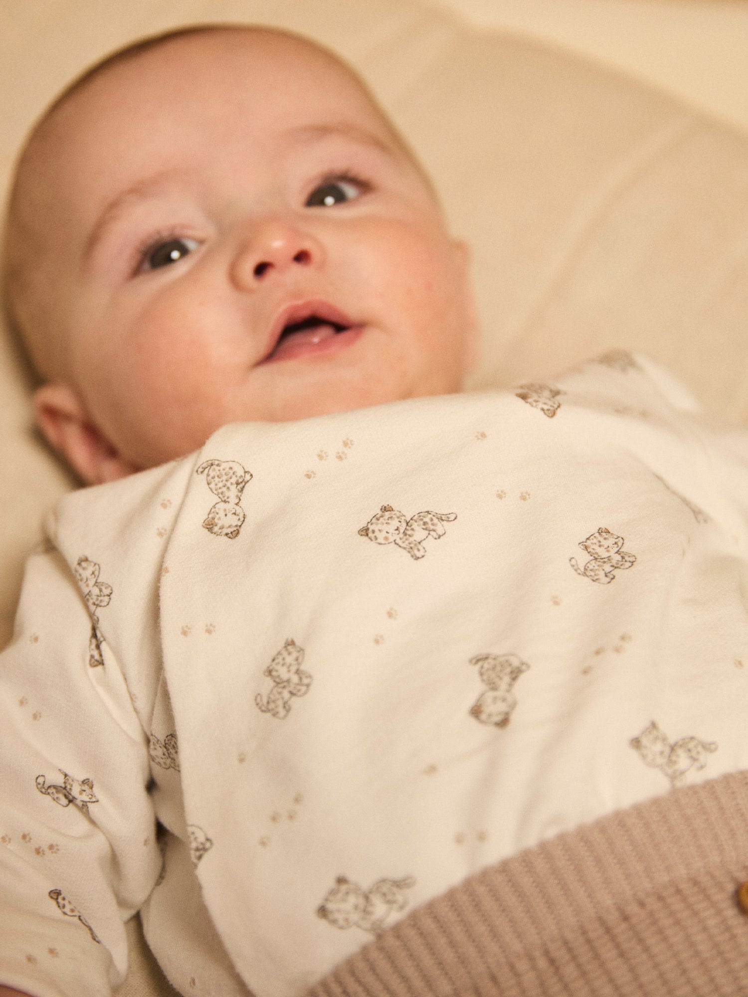 Ensemble brassière imprimé panthère + pantalon + chaussettes Naissance Mixte