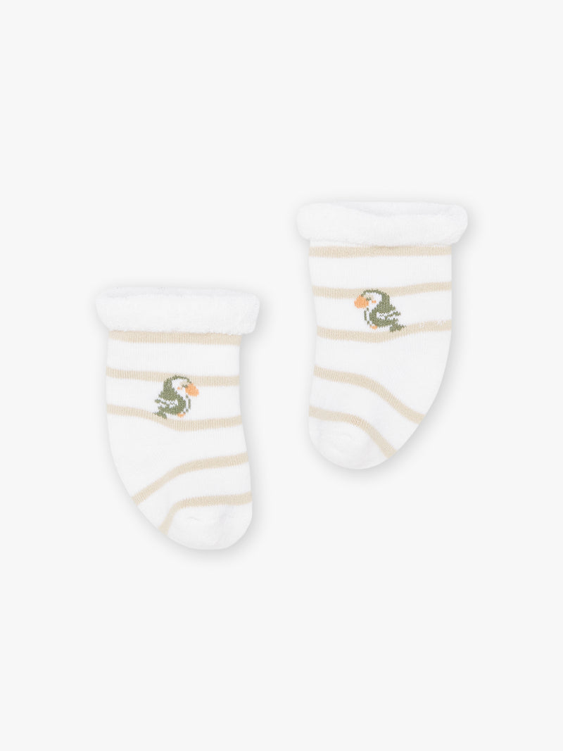 tmp/68893507776/products/b71af9a8-baed-4f59-923c-bc0ed4e422ac/24E0CG21ENS_000_106f8ea15e6-cb51-4a66-b167-aa4586cefa09.jpg