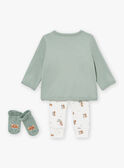 Conjunto caqui LODOVIC / 24H0CG11ENS604