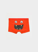 Blue sky Boxer PIBOXAGE / 18H5PG82BOX020