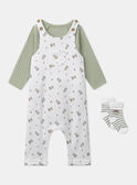 Conjunto de día body + mono + calcetines MONZON / 25E0CG22ENSG610