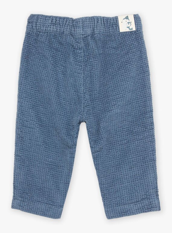 Pantalón azul grisáceo de pana DASECTOR / 22H1BGY2PAN205