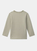 Green TEE SHIRT LS NIRAGE / 25H3PGL1TMLG607