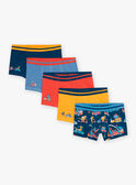 5 boxers azul, amarillo y rojo con estampado de dinosaurios GRUMAINAGE / 23H5PG32BOX716