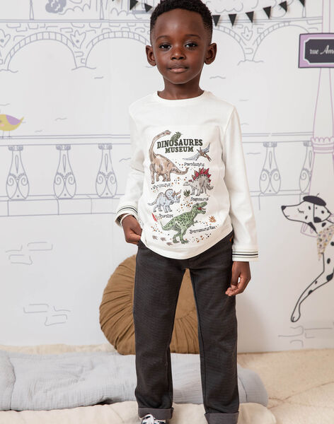 Camiseta de manga larga de color crudo con estampado de dinosaurios para  niño : comprar online - Camisetas y polos | SergentMajor