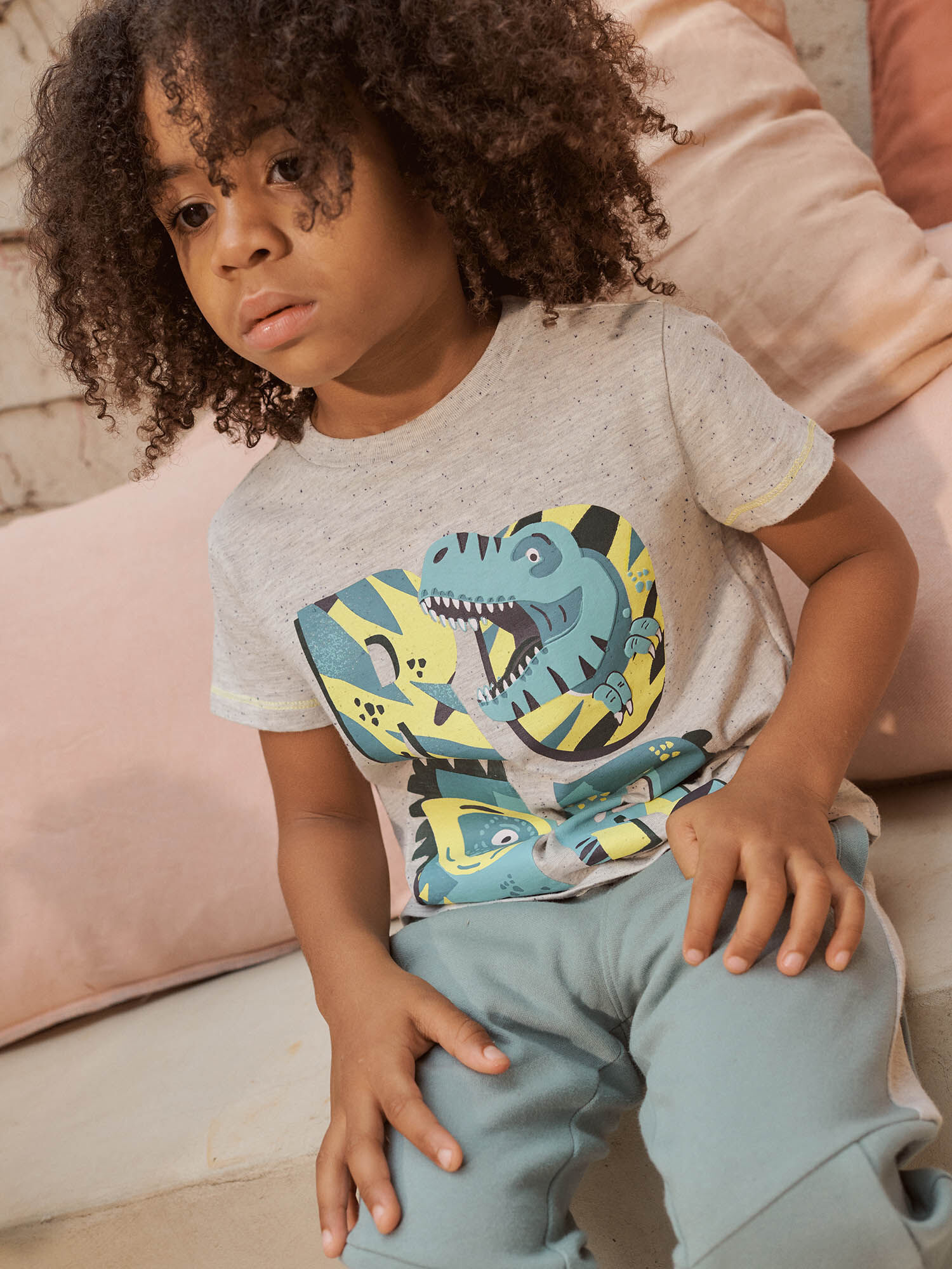 Camiseta gris ceniza con estampado de dinosaurio para nino Chico Sergent Major