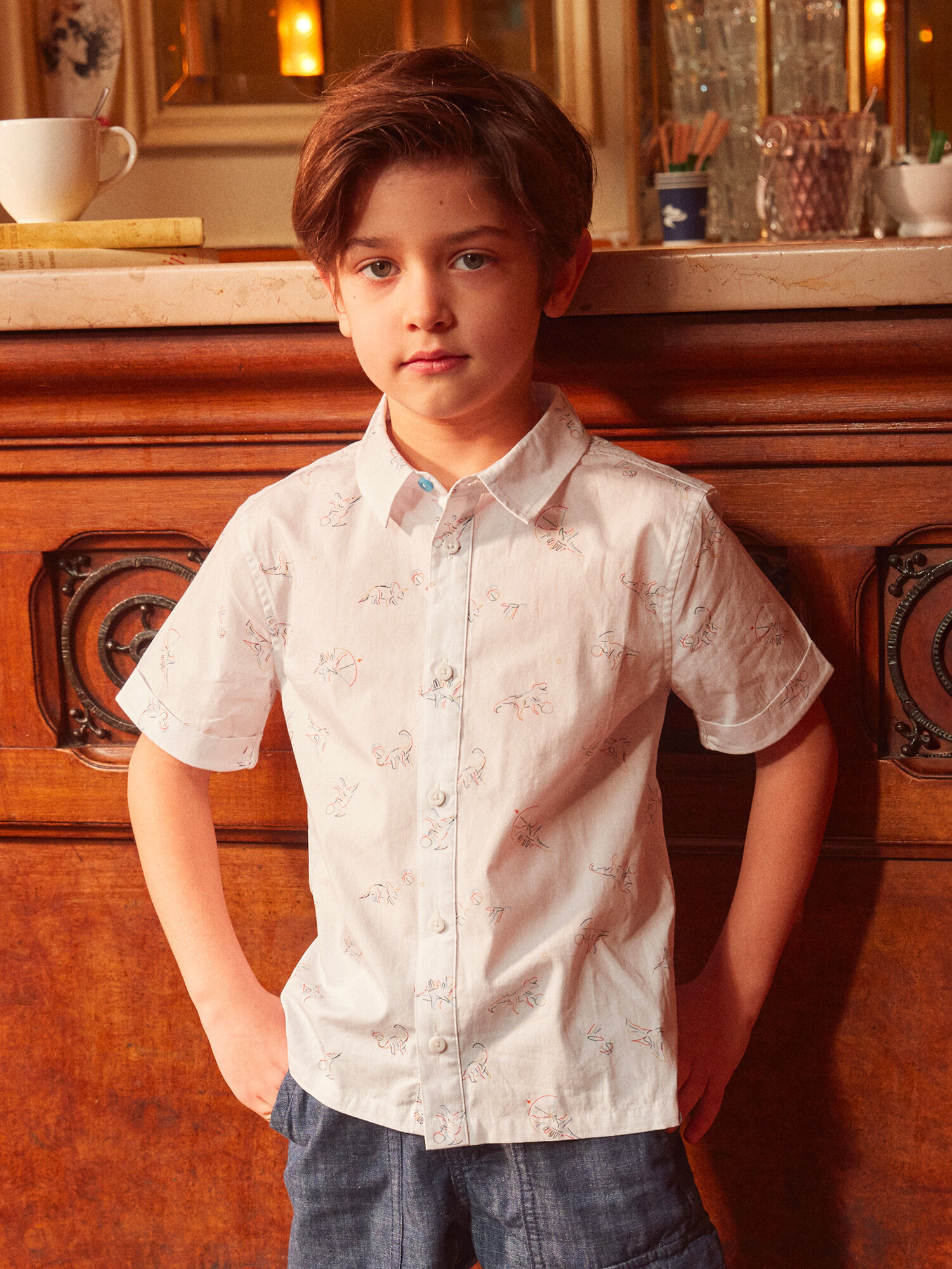 Camisa de dinosaurios clearance