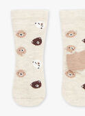 Calcetines beige con estampado de ositos GALAMY / 23H4BGH1SOQA010