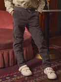 Pantalones Gris de Terciopelo LADURAGE / 24H3PGQ1PANJ909