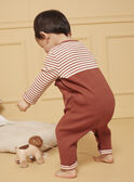 Pijama de zorro de canalé LEALEXIS / 24H5BG37GREE406