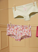 Pack de 5 culottes LUIBOETTE / 24H5PF52SHY001