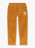 Pantalón ancho beige de terciopelo GLAVELTAGE / 23H3PGI1PANI819