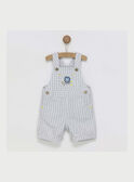 Peto corto de color gris RYDYLAN / 19E1BGS1SAC904