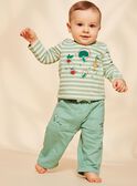Pantalón de muletón de color verde almendra FACECTOR / 23E1BGB1PAN611