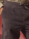Pantalones Gris de Terciopelo LADURAGE / 24H3PGQ1PANJ909
