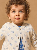 Chaqueta estilo teddy reversible MACRISTO / 25E1BG81GIL001