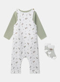 Conjunto de día body + mono + calcetines MONZON / 25E0CG22ENSG610