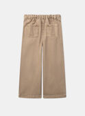 Pantalón loose con bordados  LIPAETTE / 24H2PFK2PAN803