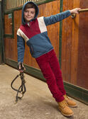 Sudadera tricolor con capucha LAROAGE / 24H3PGR1SWE714
