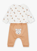 Conjunto de top, pantalón y pañuelo de color avellana y crudo LOGAN / 24H0CG13ENS821