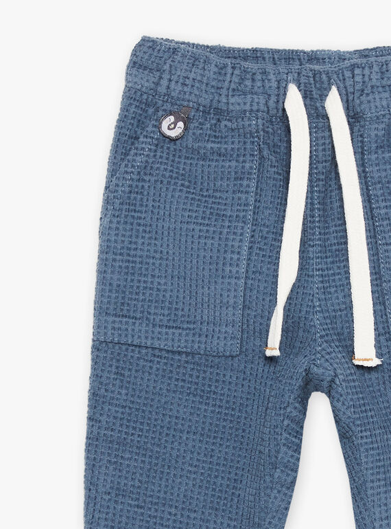 Pantalón azul grisáceo de pana DASECTOR / 22H1BGY2PAN205