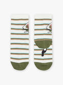 Calcetines de rayas crudas con Jacquard loro FIMOUAGE / 23E4PGD1SOQ001