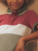 Polo colourblock con dinosaurio FRIPLAGE1 / 23E3PGD1POL628