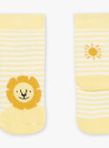 Calcetines rayas jacquard león FAARNOLD / 23E4BG82SOQ001