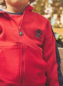 Sudadera bicolor con capucha FEGILAGE / 23E3PGB1GIL506
