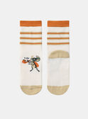 Off white SOCKS KASOCAGE / 24E4PG31SOQ009