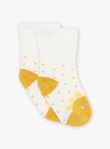 Calcetines de sol de jacquard FABILLIE / 23E4BF81SOQ001