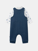 Navy SET LORIS / 24H0CGN1ENS070