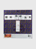 Multicolor ART AND CRAFT SMAPA0010 / 20J7GM11ACR099