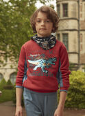 Spice red SWEAT SHIRT LOFLEAGE / 24H3PGL1SWEF509