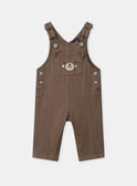 Brown DUNGAREES NAFLORENT / 25H1BGS2SAL821