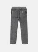 Pantalones Gris de Terciopelo LADURAGE / 24H3PGQ1PANJ909