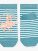 Calcetines de color azul con estampado de rayas y de dinosaurio FLUSTRAGE / 23E4PGQ1SOQ205