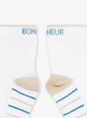Calcetines crudo con rayas azules y beige FREBASSAGE / 23E4PGI1SOQ000