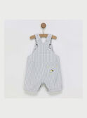 Peto corto de color gris RYDYLAN / 19E1BGS1SAC904