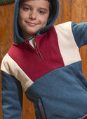 Sudadera tricolor con capucha LAROAGE / 24H3PGR1SWE714