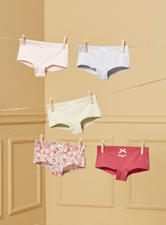 Pack de 5 culottes LUIBOETTE / 24H5PF52SHY001