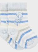 Blue sky Socks PESOSET / 18H0AGN1SOQ020