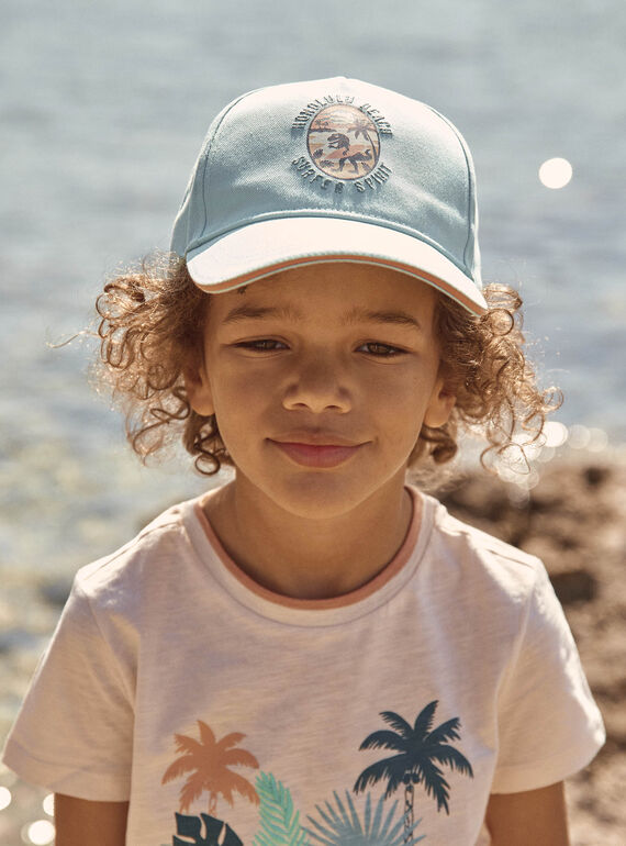 Gorra turquesa de twill con estampado de dinosaurio FLUBEACHAGE / 23E4PGQ1CHA205