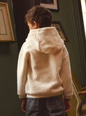 Sudadera de Pelo con Capucha LADOTAGE / 24H3PGQ1SWE811