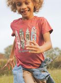 Camiseta con estampado de surf FISURFAGE / 23E3PGD2TMC303
