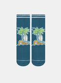 Calcetines azules estampados KROFOAGE / 24E4PGE1SOQC241