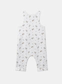 Conjunto de día body + mono + calcetines MONZON / 25E0CG22ENSG610