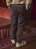 Pantalones Gris de Terciopelo LADURAGE / 24H3PGQ1PANJ909