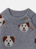 Jersey jacquard de perros LAOREL / 24H1BGQ1PUL943