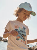 Gorra turquesa de twill con estampado de dinosaurio FLUBEACHAGE / 23E4PGQ1CHA205